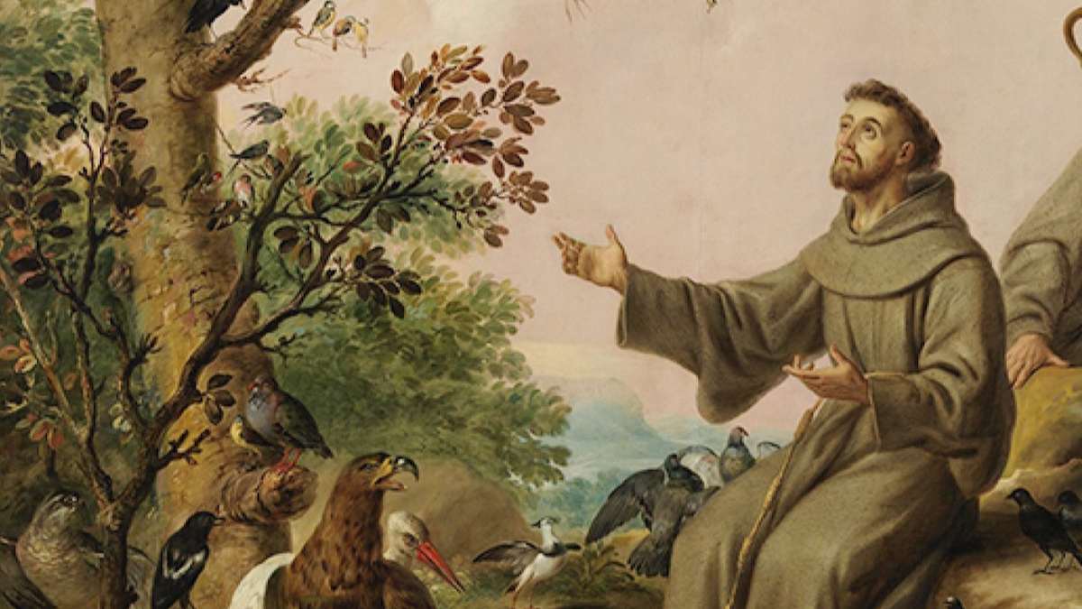 que es un año jubilar san francisco de asis 2026